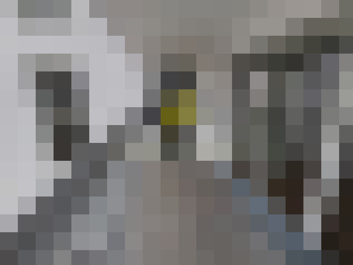  / #14