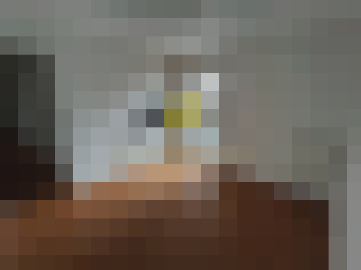 / #11
