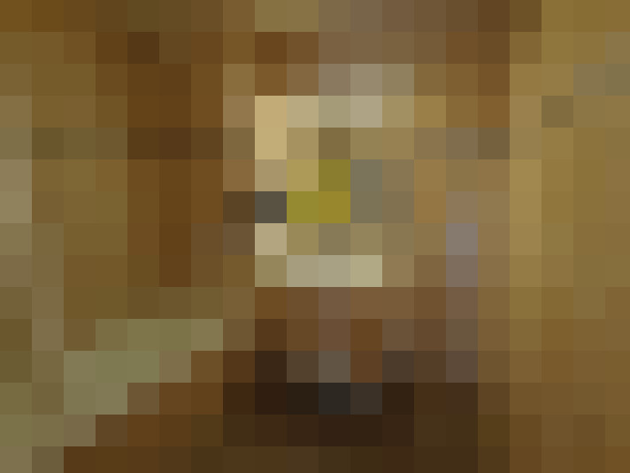  / #8