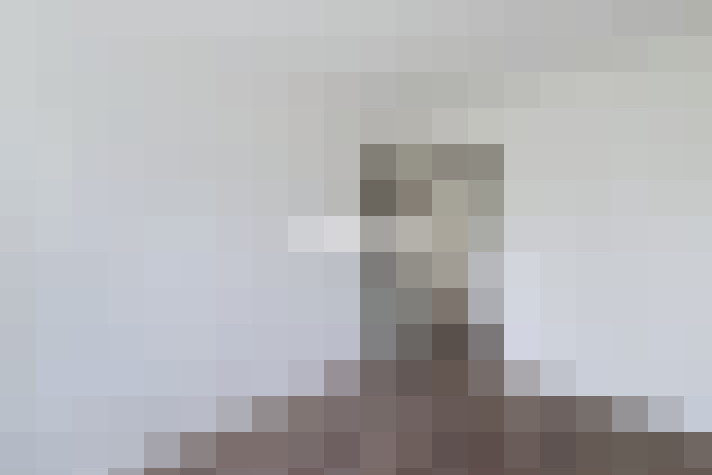  / #11