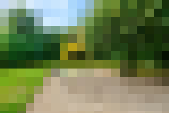  / #12