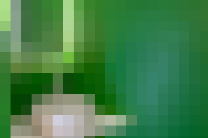  / #8