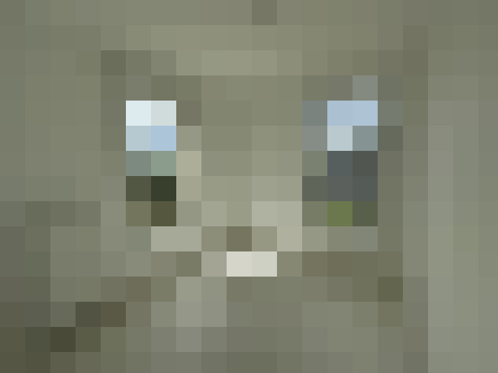  / #9