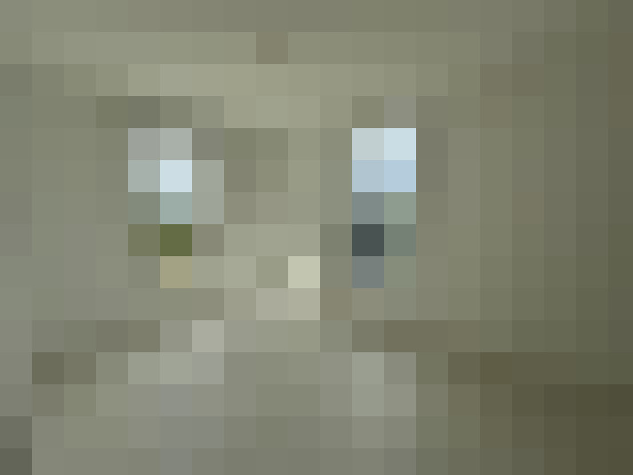  / #11