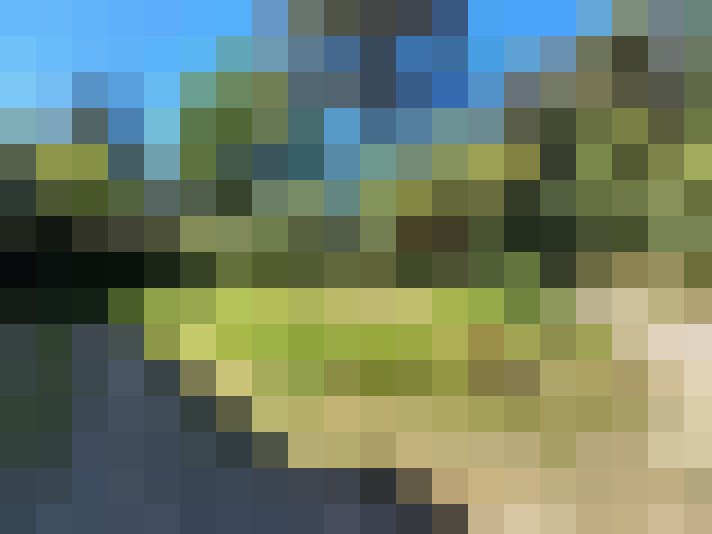  / #8
