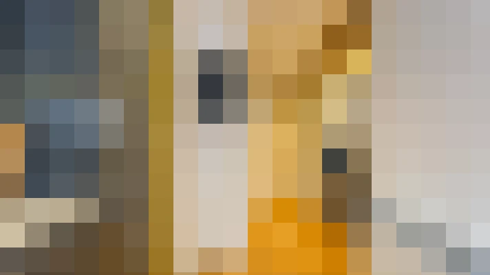  / #13
