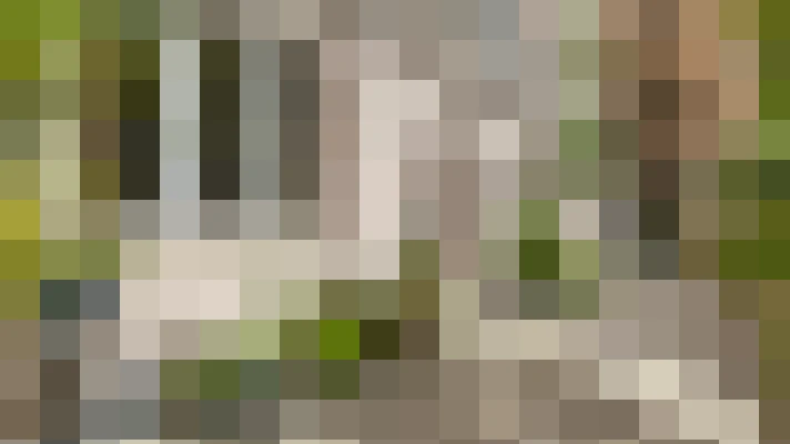  / #19