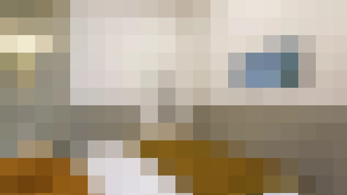  / #17