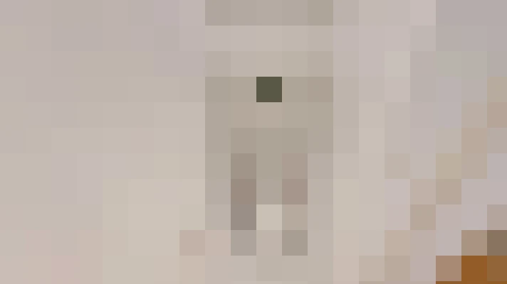  / #11