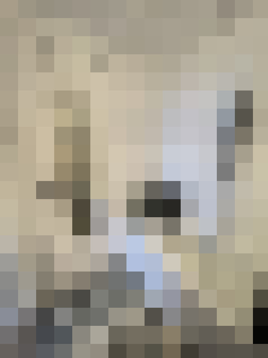  / #33