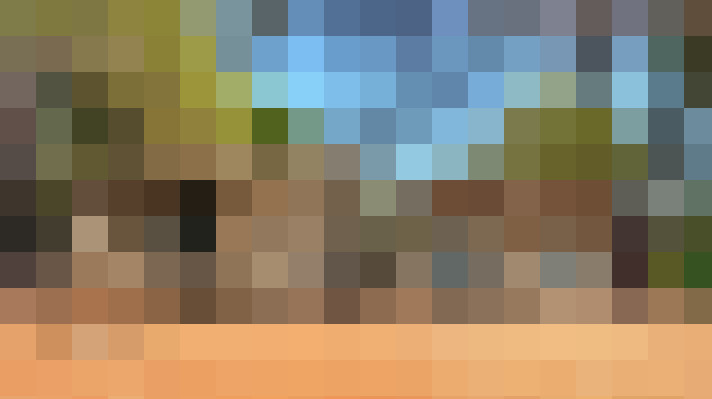  / #18