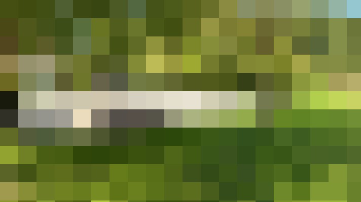  / #15