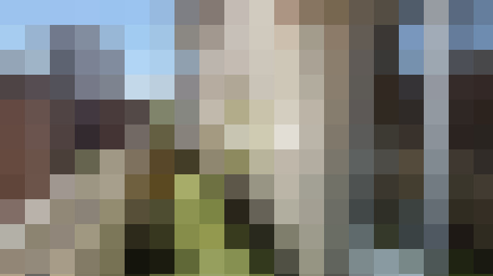  / #16