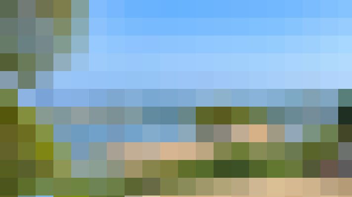  / #11
