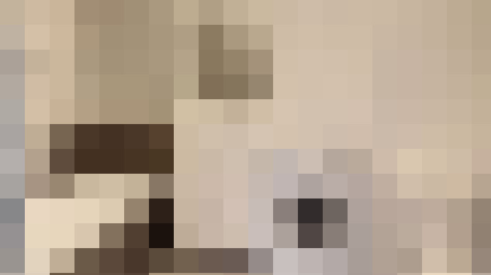  / #6