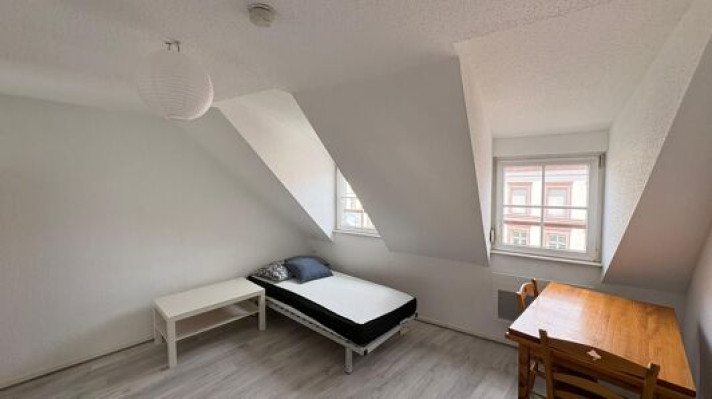 Voir la photo 1/4 du type apartment à Strasbourg