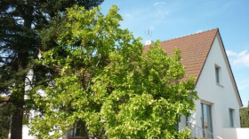 Maison à Longvic