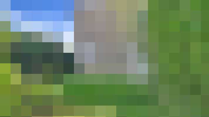  / #15