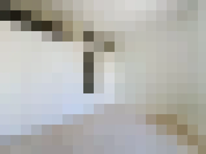  / #7