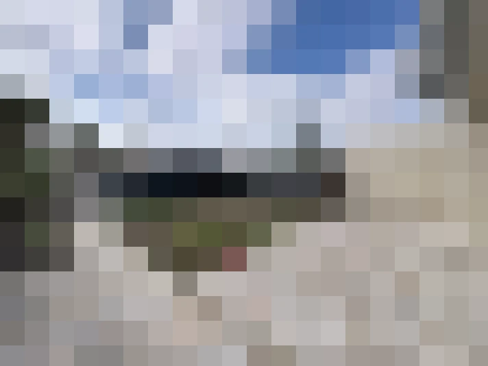  / #16