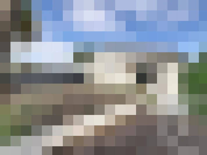  / #19