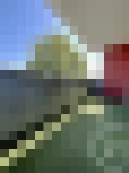  / #7