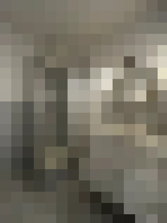  / #13