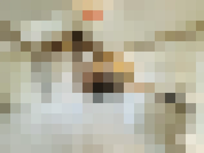  / #7