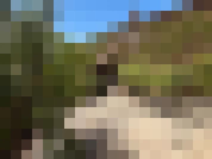  / #7