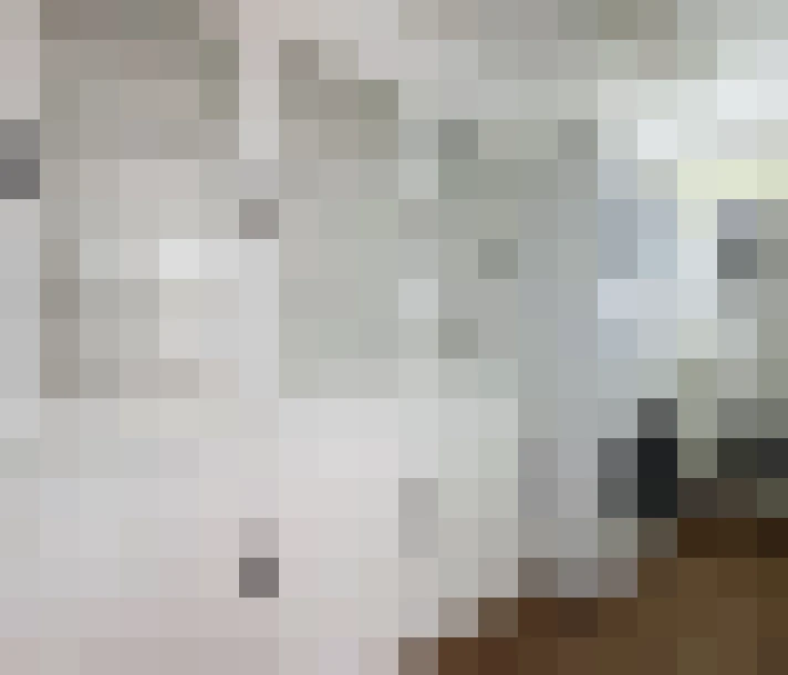 / #14