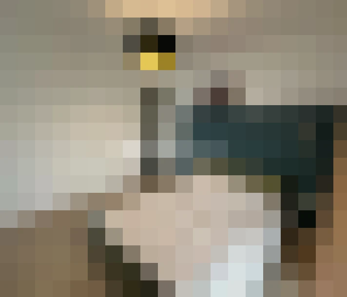  / #11