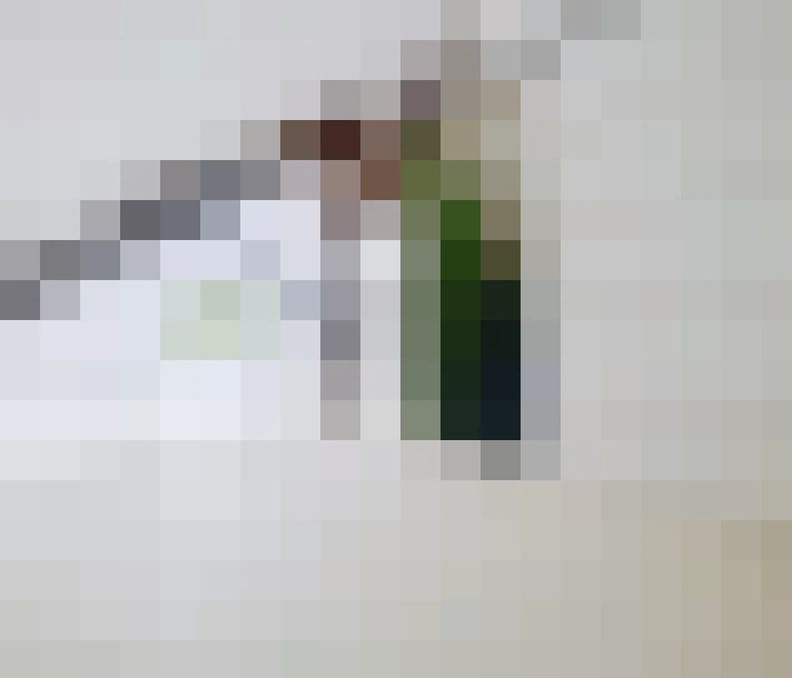  / #8