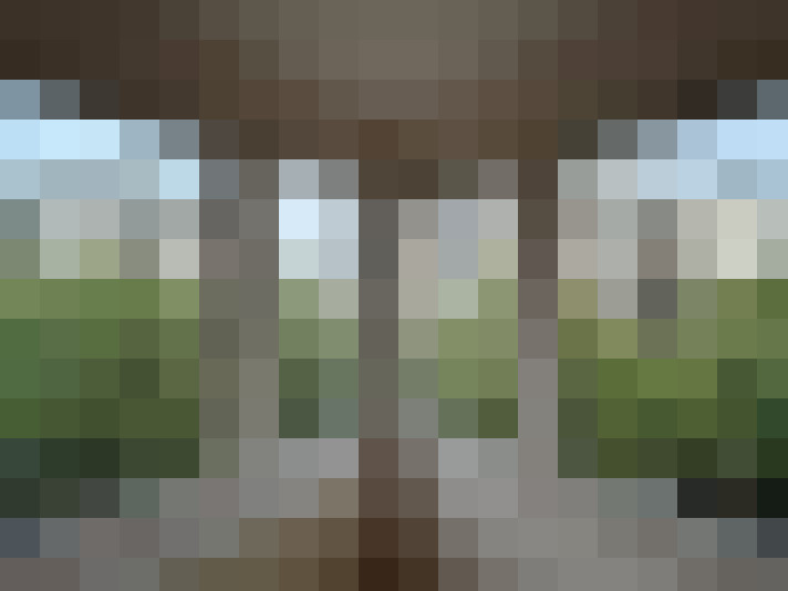  / #7