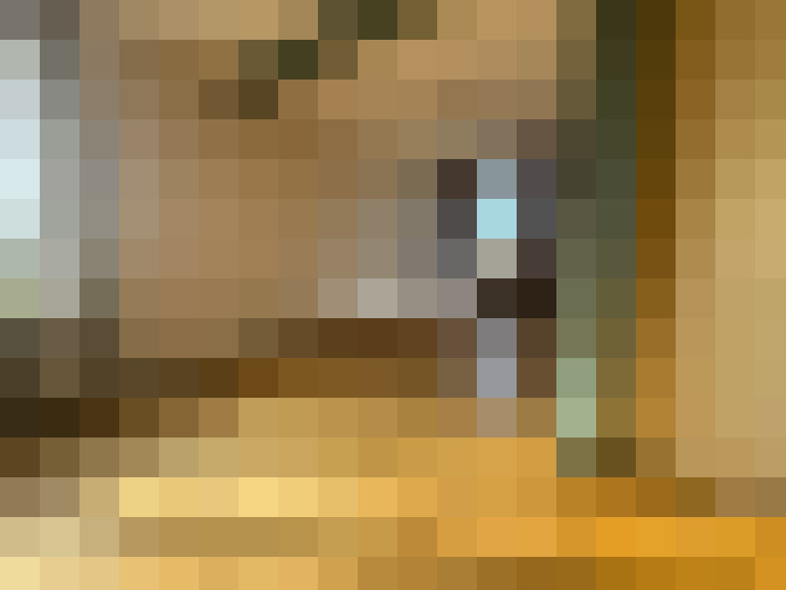  / #15