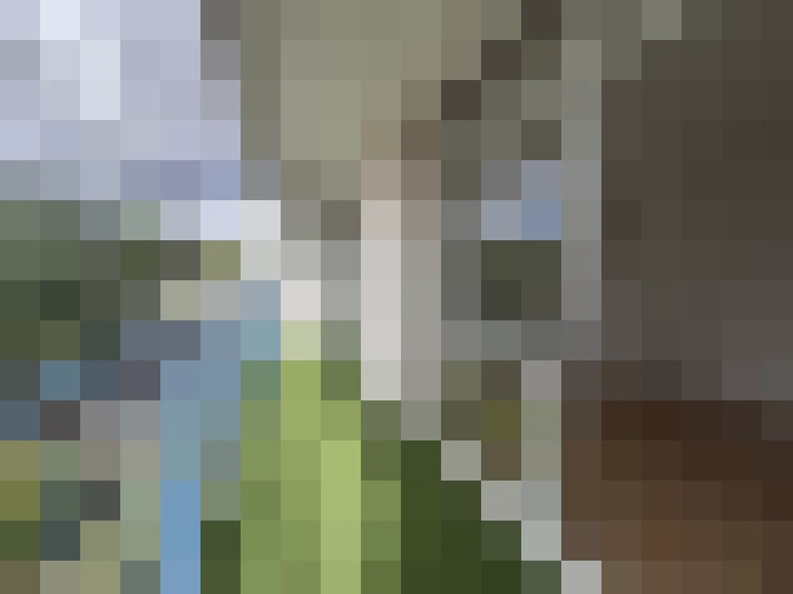  / #14