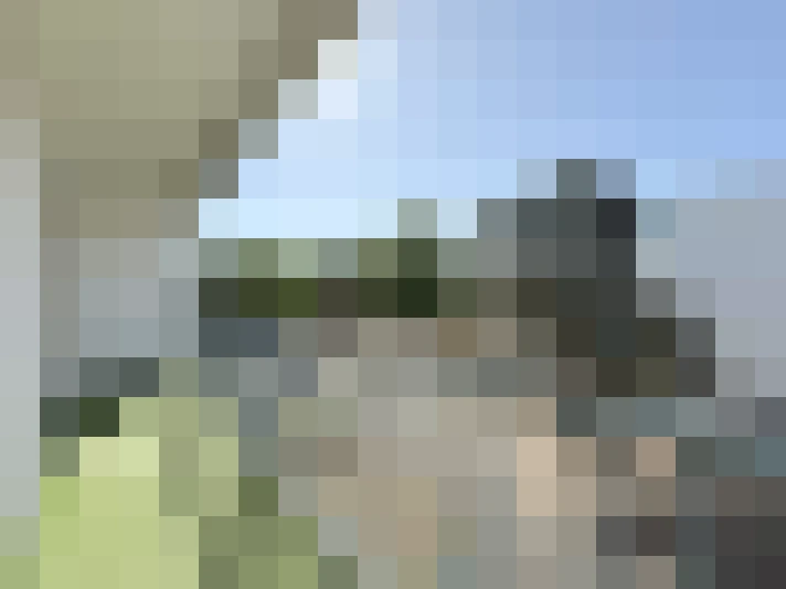  / #15