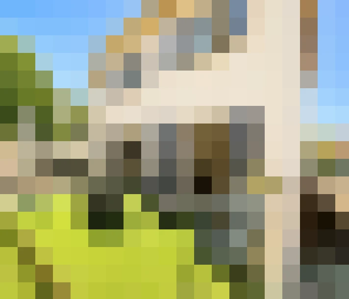  / #6
