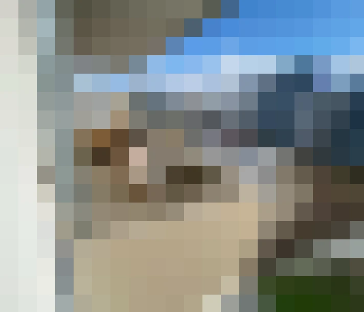  / #15