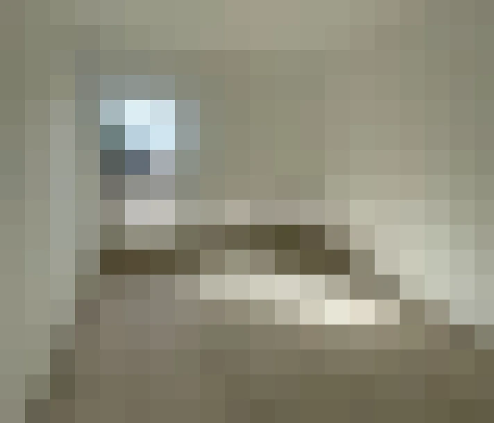  / #12