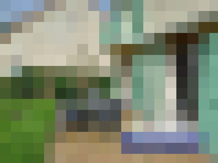  / #6