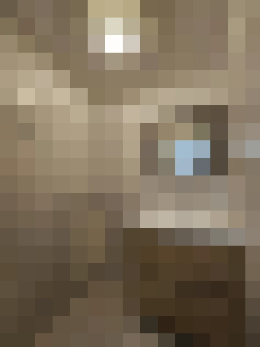  / #8