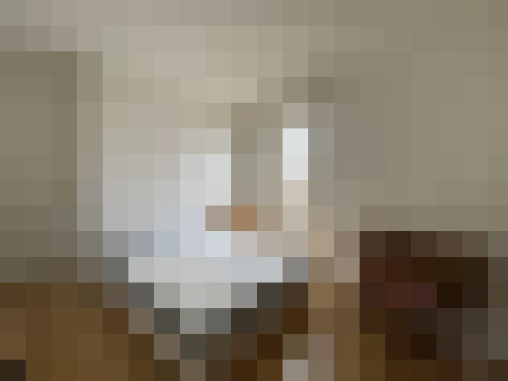  / #8