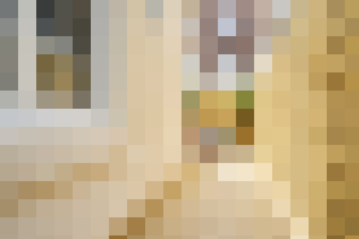  / #14