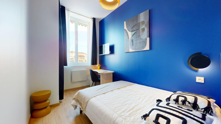 Voir la photo 1/16 du type room à Lyon
