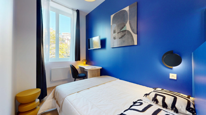 Voir la photo 1/14 du type room à Lyon