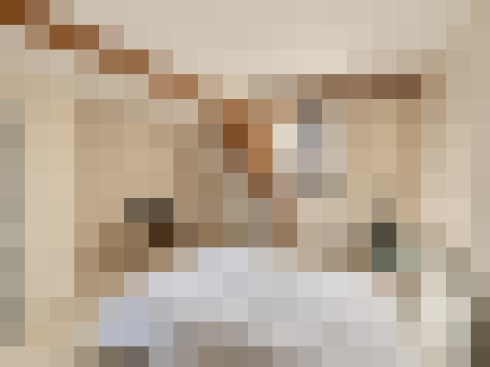  / #19