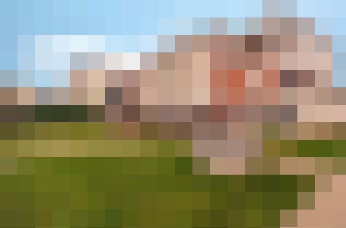  / #15