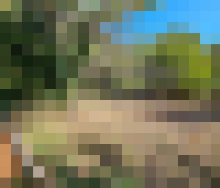  / #7