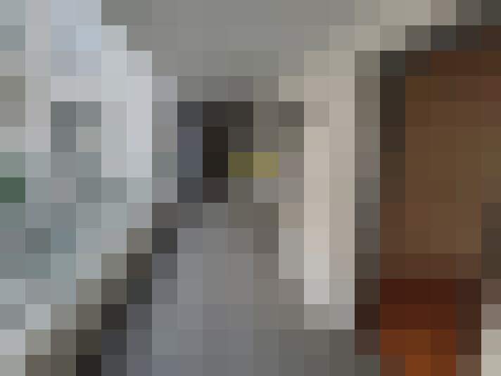 / #18