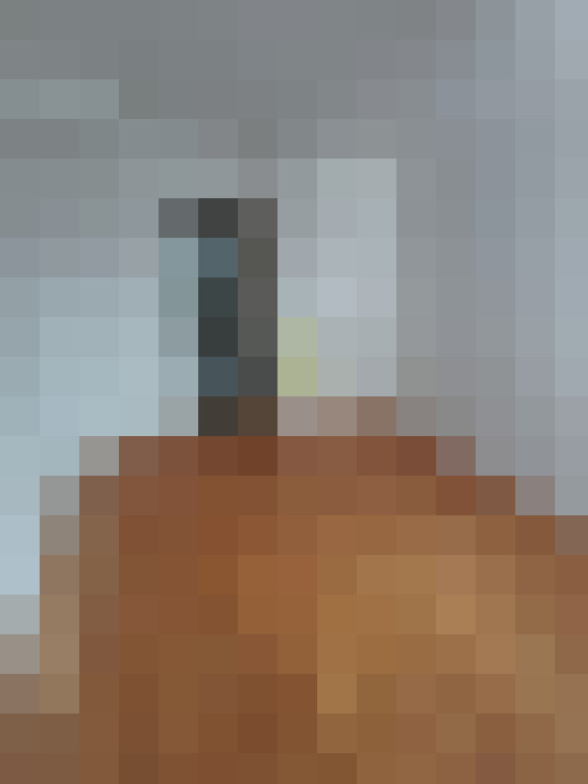 / #14